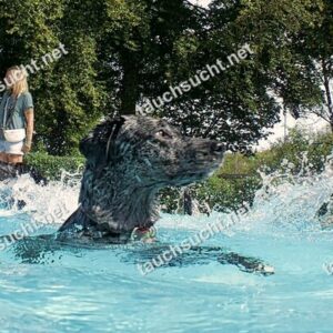 Hundeschwimmen Gauting 2026 - Foto vom 20.09.2026 um 14:21:08 Uhr