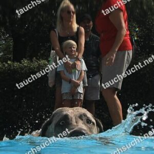 Hundeschwimmen Gauting 2026 - Foto vom 20.09.2026 um 14:21:14 Uhr