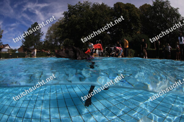 Hundeschwimmen Gauting 2026 - Foto vom 20.09.2026 um 14:24:35 Uhr