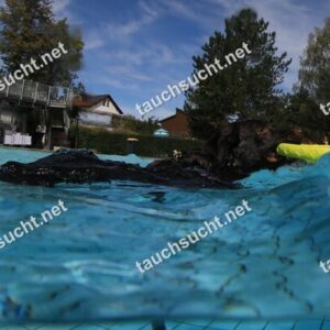 Hundeschwimmen Gauting 2026 - Foto vom 20.09.2026 um 14:24:39 Uhr