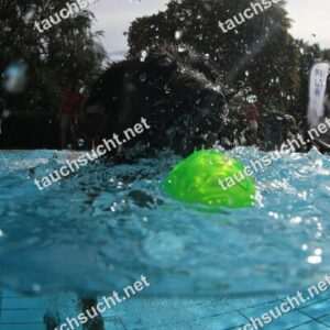 Hundeschwimmen Gauting 2026 - Foto vom 20.09.2026 um 14:24:57 Uhr