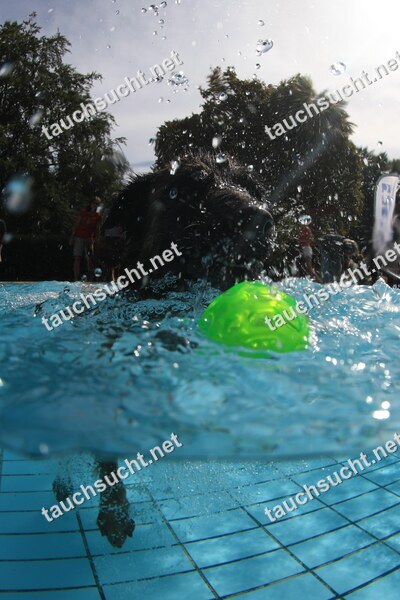 Hundeschwimmen Gauting 2026 - Foto vom 20.09.2026 um 14:24:57 Uhr