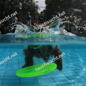 Hundeschwimmen Gauting 2026 - Foto vom 20.09.2026 um 14:25:13 Uhr