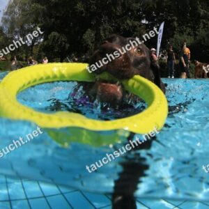 Hundeschwimmen Gauting 2026 - Foto vom 20.09.2026 um 14:26:44 Uhr