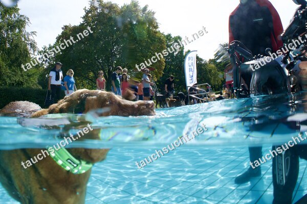 Hundeschwimmen Gauting 2026 - Foto vom 20.09.2026 um 14:26:48 Uhr
