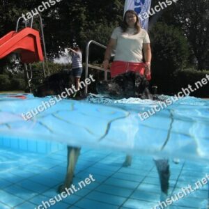 Hundeschwimmen Gauting 2026 - Foto vom 20.09.2026 um 14:29:10 Uhr
