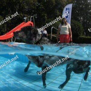 Hundeschwimmen Gauting 2026 - Foto vom 20.09.2026 um 14:29:11 Uhr
