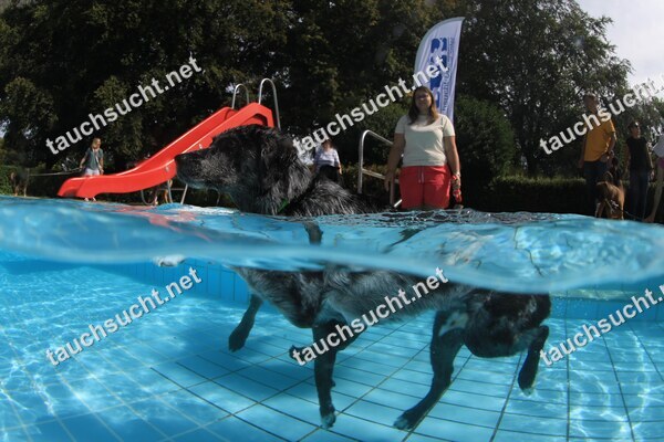 Hundeschwimmen Gauting 2026 - Foto vom 20.09.2026 um 14:29:11 Uhr