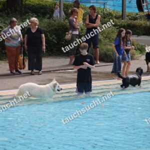 Hundeschwimmen Gauting 2026 - Foto vom 20.09.2026 um 14:29:12 Uhr