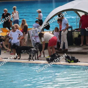 Hundeschwimmen Gauting 2026 - Foto vom 20.09.2026 um 14:30:23 Uhr
