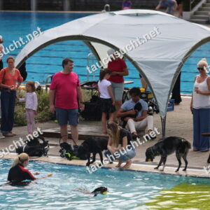 Hundeschwimmen Gauting 2026 - Foto vom 20.09.2026 um 14:31:57 Uhr