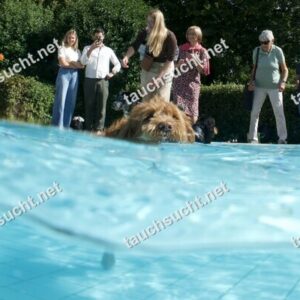 Hundeschwimmen Gauting 2026 - Foto vom 20.09.2026 um 14:33:41 Uhr