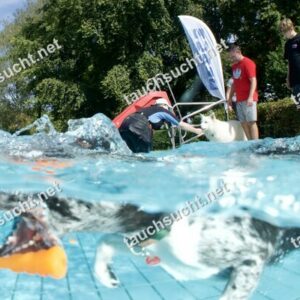 Hundeschwimmen Gauting 2026 - Foto vom 20.09.2026 um 14:34:28 Uhr
