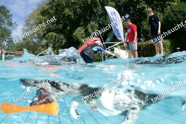 Hundeschwimmen Gauting 2026 - Foto vom 20.09.2026 um 14:34:28 Uhr