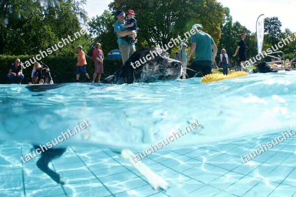 Hundeschwimmen Gauting 2026 - Foto vom 20.09.2026 um 14:36:14 Uhr