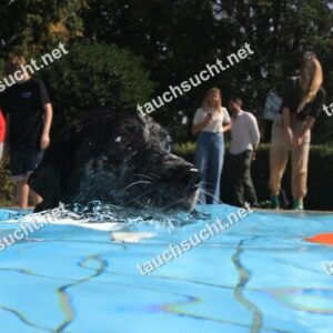 Hundeschwimmen Gauting 2026 - Foto vom 20.09.2026 um 14:43:25 Uhr