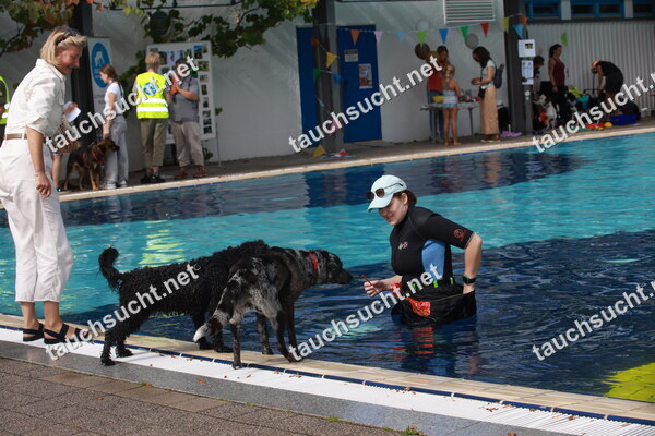 Hundeschwimmen Gauting 2026 - Foto vom 20.09.2026 um 14:48:06 Uhr