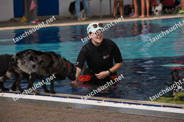Hundeschwimmen Gauting 2026 - Foto vom 20.09.2026 um 14:49:12 Uhr