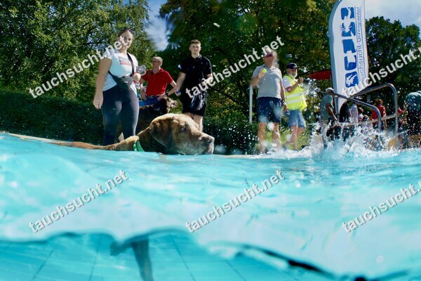 Hundeschwimmen Gauting 2026 - Foto vom 20.09.2026 um 14:49:43 Uhr
