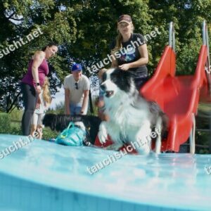 Hundeschwimmen Gauting 2026 - Foto vom 20.09.2026 um 14:51:07 Uhr