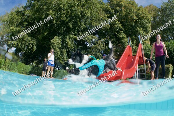 Hundeschwimmen Gauting 2026 - Foto vom 20.09.2026 um 14:51:25 Uhr