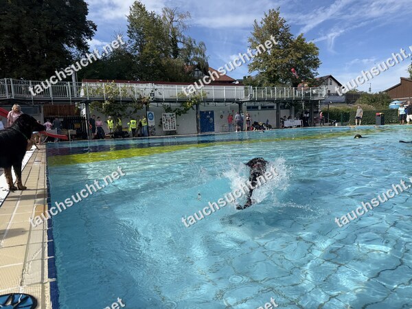 Hundeschwimmen Gauting 2026 - Foto vom 20.09.2026 um 14:54:12 Uhr