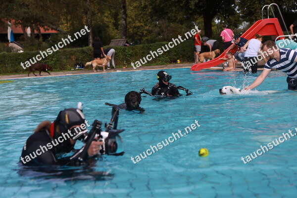 Hundeschwimmen Gauting 2026 - Foto vom 20.09.2026 um 14:55:29 Uhr