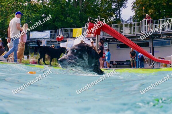 Hundeschwimmen Gauting 2026 - Foto vom 20.09.2026 um 15:10:21 Uhr