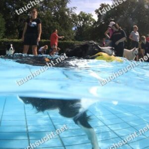 Hundeschwimmen Gauting 2026 - Foto vom 20.09.2026 um 15:12:57 Uhr