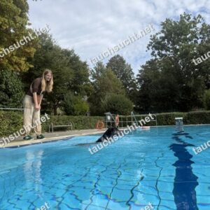 Hundeschwimmen Gauting 2026 - Foto vom 20.09.2026 um 15:17:42 Uhr