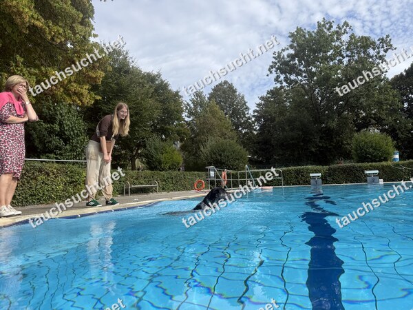 Hundeschwimmen Gauting 2026 - Foto vom 20.09.2026 um 15:17:42 Uhr