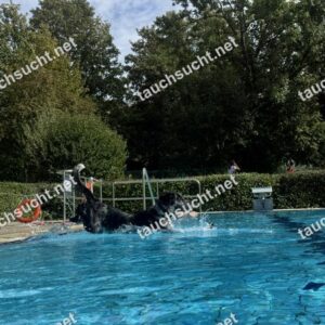 Hundeschwimmen Gauting 2026 - Foto vom 20.09.2026 um 15:18:10 Uhr
