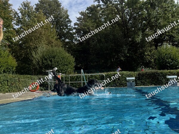 Hundeschwimmen Gauting 2026 - Foto vom 20.09.2026 um 15:18:10 Uhr