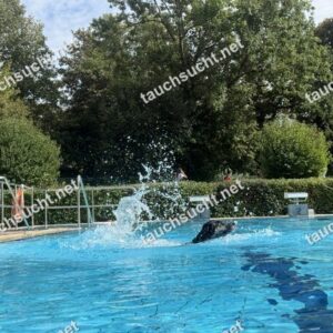 Hundeschwimmen Gauting 2026 - Foto vom 20.09.2026 um 15:18:11 Uhr