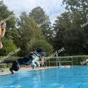 Hundeschwimmen Gauting 2026 - Foto vom 20.09.2026 um 15:18:35 Uhr