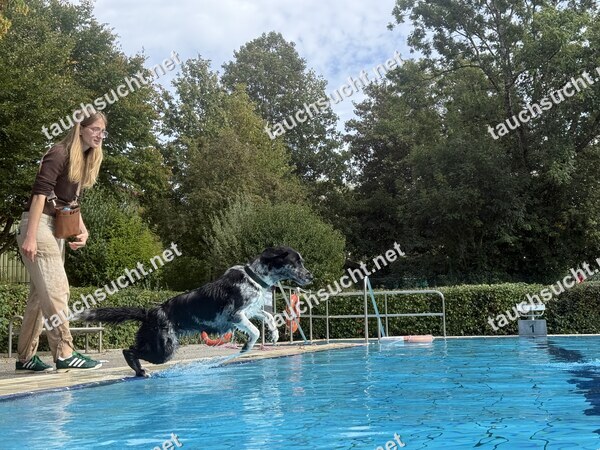 Hundeschwimmen Gauting 2026 - Foto vom 20.09.2026 um 15:18:35 Uhr