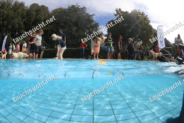 Hundeschwimmen Gauting 2026 - Foto vom 20.09.2026 um 15:20:49 Uhr