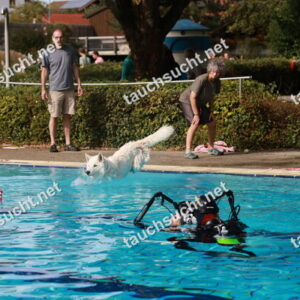 Hundeschwimmen Gauting 2026 - Foto vom 20.09.2026 um 15:43:01 Uhr