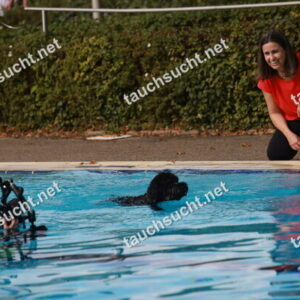 Hundeschwimmen Gauting 2026 - Foto vom 20.09.2026 um 15:46:02 Uhr
