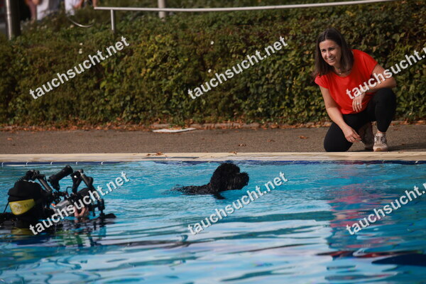 Hundeschwimmen Gauting 2026 - Foto vom 20.09.2026 um 15:46:02 Uhr