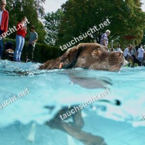 Hundeschwimmen Gauting 2026 - Foto vom 20.09.2026 um 15:46:32 Uhr