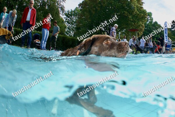 Hundeschwimmen Gauting 2026 - Foto vom 20.09.2026 um 15:46:32 Uhr