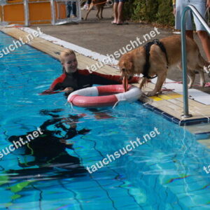 Hundeschwimmen Gauting 2026 - Foto vom 20.09.2026 um 15:49:53 Uhr