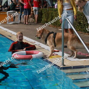 Hundeschwimmen Gauting 2026 - Foto vom 20.09.2026 um 15:50:01 Uhr