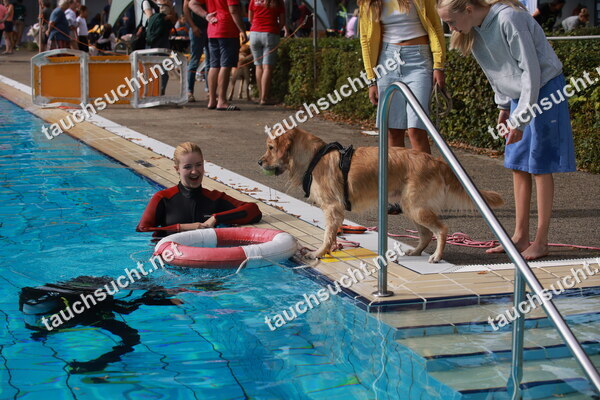 Hundeschwimmen Gauting 2026 - Foto vom 20.09.2026 um 15:50:01 Uhr