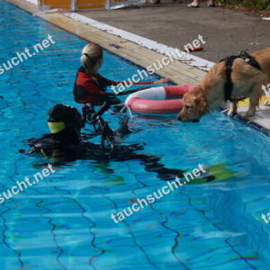 Hundeschwimmen Gauting 2026 - Foto vom 20.09.2026 um 15:50:56 Uhr