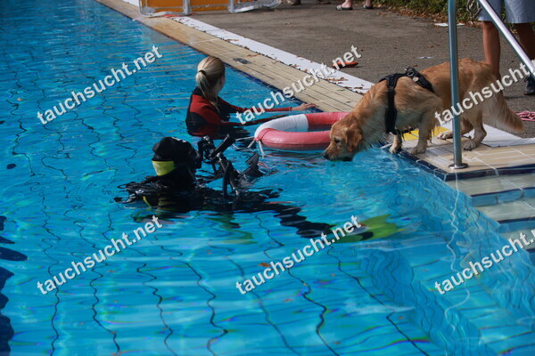 Hundeschwimmen Gauting 2026 - Foto vom 20.09.2026 um 15:50:56 Uhr