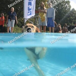Hundeschwimmen Gauting 2026 - Foto vom 20.09.2026 um 15:56:02 Uhr