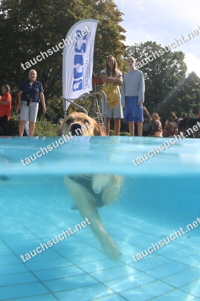 Hundeschwimmen Gauting 2026 - Foto vom 20.09.2026 um 15:56:02 Uhr