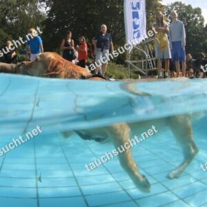 Hundeschwimmen Gauting 2026 - Foto vom 20.09.2026 um 15:56:04 Uhr